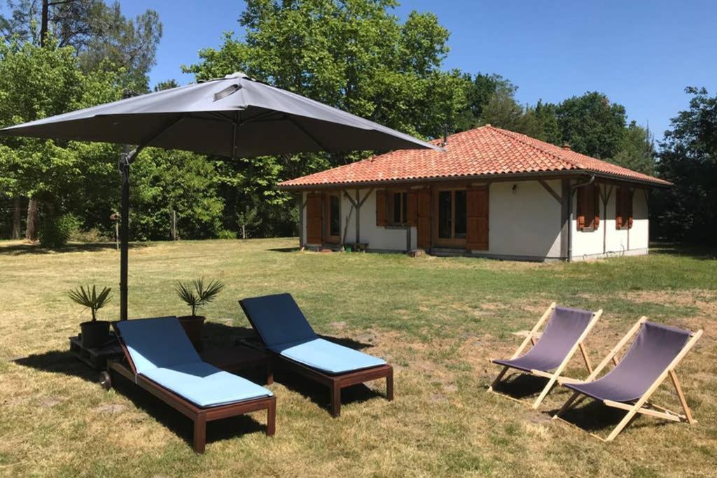 Spa et détente au cœur de la forêt des Landes Vila Luglon Exterior foto