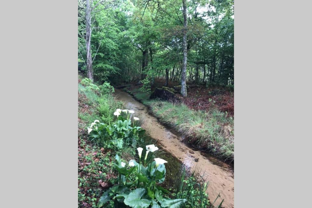 Spa et détente au cœur de la forêt des Landes Vila Luglon Exterior foto