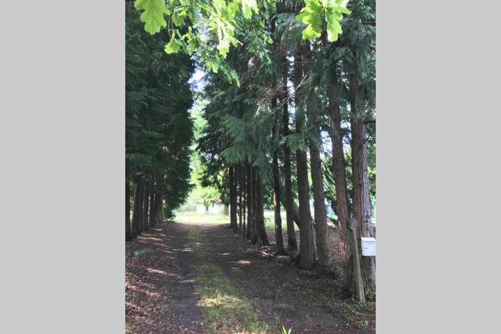 Spa et détente au cœur de la forêt des Landes Vila Luglon Exterior foto