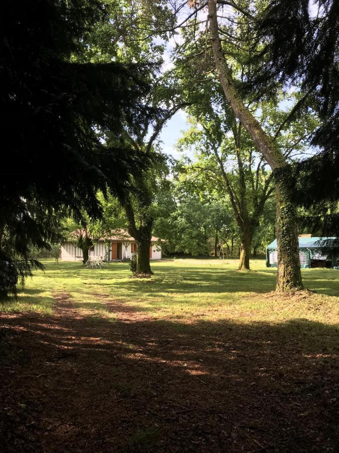 Spa et détente au cœur de la forêt des Landes Vila Luglon Exterior foto